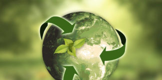 Proste zasady domowego recyklingu