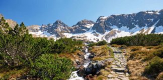 Apartamenty Zakopane – tylko krok dzieli Cię od potęgi natury