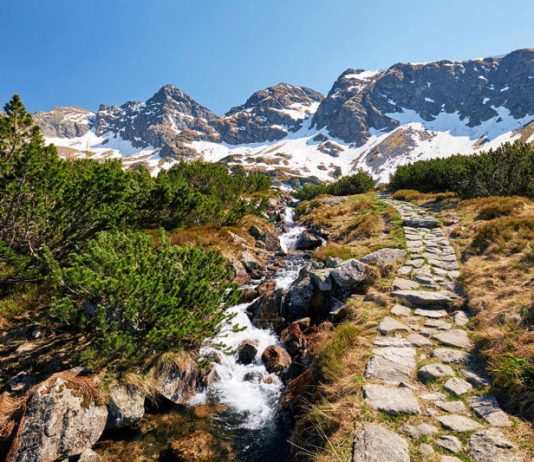 Zakopane – noclegi w górach w jednym z najpiękniejszych zakątków Polski Apartamenty Zakopane – tylko krok dzieli Cię od potęgi natury