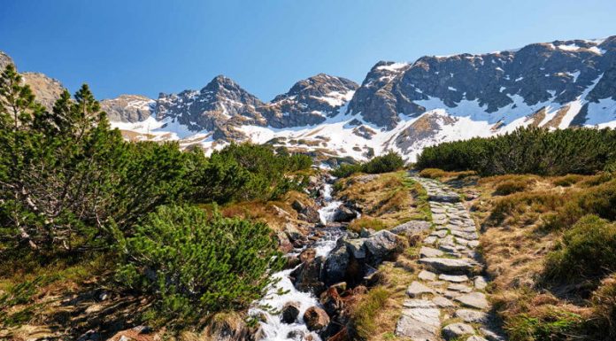 Zakopane – noclegi w górach w jednym z najpiękniejszych zakątków Polski Apartamenty Zakopane – tylko krok dzieli Cię od potęgi natury