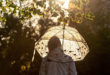 Obowiązki adwokata – co do nich należy?